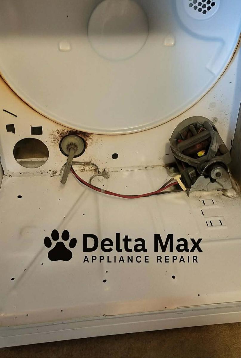 Dryer interior after cleaning