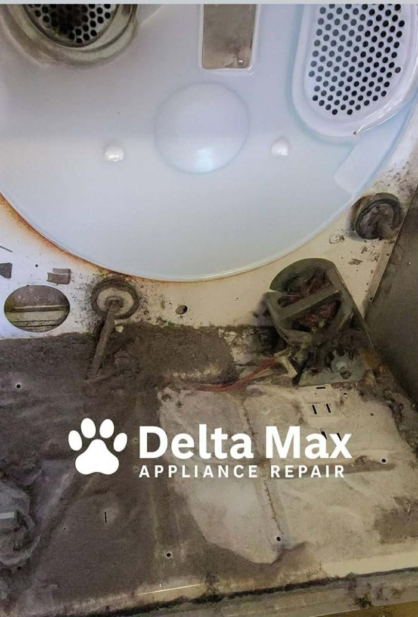 Dryer interior before cleaning